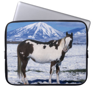 Capa Para Notebook Pinte o cavalo que está na neve