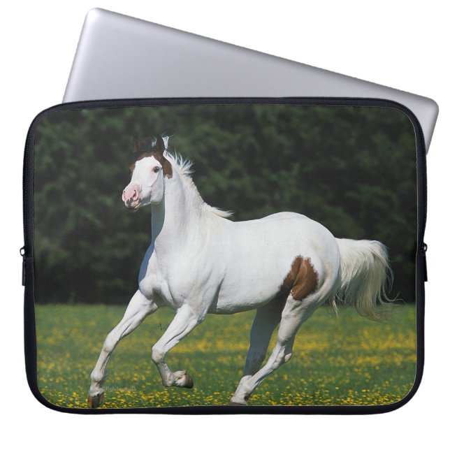Capa Para Notebook Pinte o cavalo que funciona no campo gramíneo (Frente)