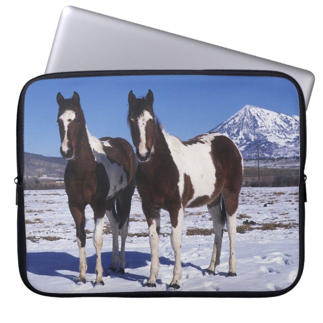 Capa Para Notebook Pinte os cavalos que estão na neve (Frente)