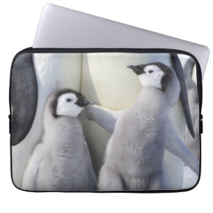 Capa Para Notebook Pintinho do pinguim de imperador