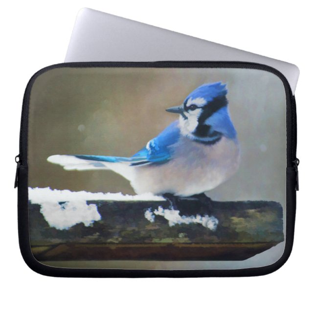 Capa Para Notebook Pintura Blue Jay - Arte Original para Pássaros (Frente)