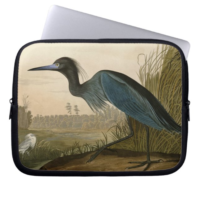 Capa Para Notebook Pintura de Heron Audubon com Crane Azul (Frente)