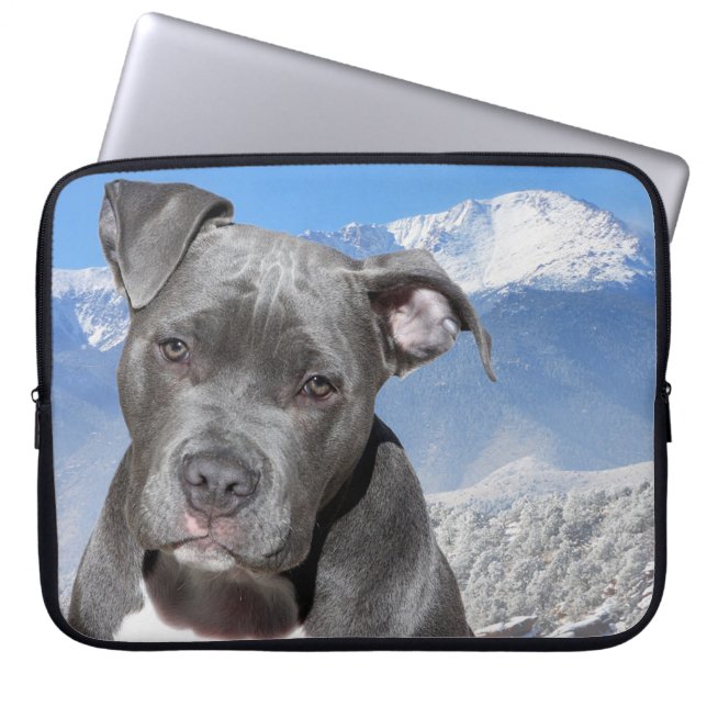 Capa Para Notebook Pitbull (Frente)