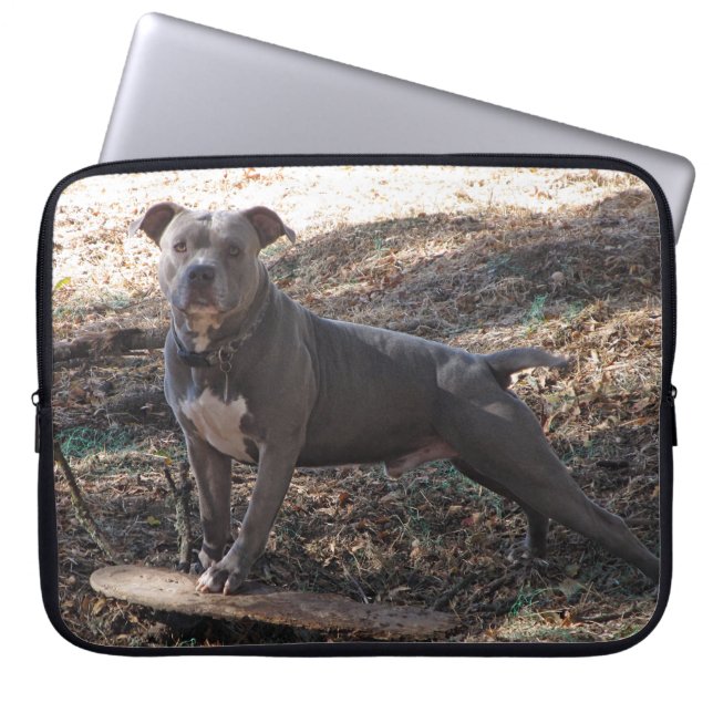 Capa Para Notebook Pitbull com Bolsa de laptop de skate (Frente)