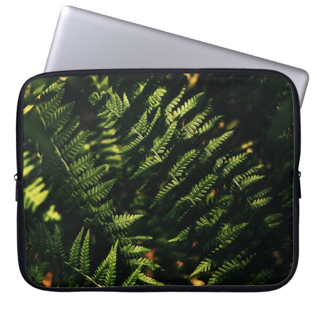 CAPA PARA NOTEBOOK PLANTA GREEN FERN NA FOTOGRAFIA DE FECHAMENTO (Frente)