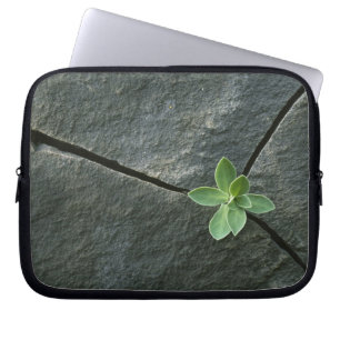 Capa Para Notebook Planta que cresce em Boulder rachado
