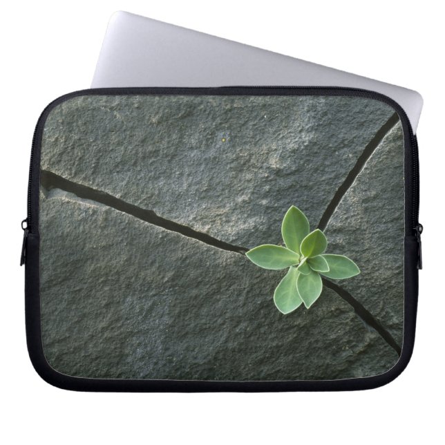 Capa Para Notebook Planta que cresce em Boulder rachado (Frente)
