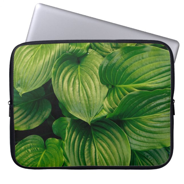 Capa Para Notebook Planta verde (Frente)