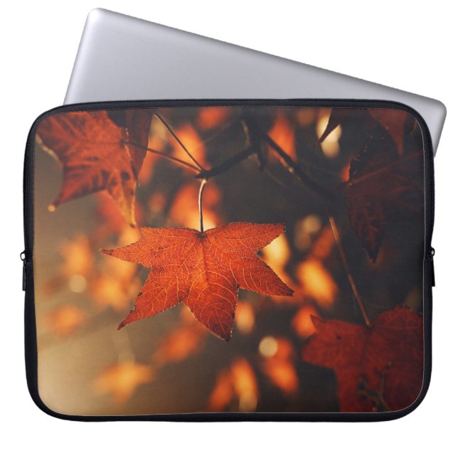 CAPA PARA NOTEBOOK PLANTAS CAMADAS (Frente)
