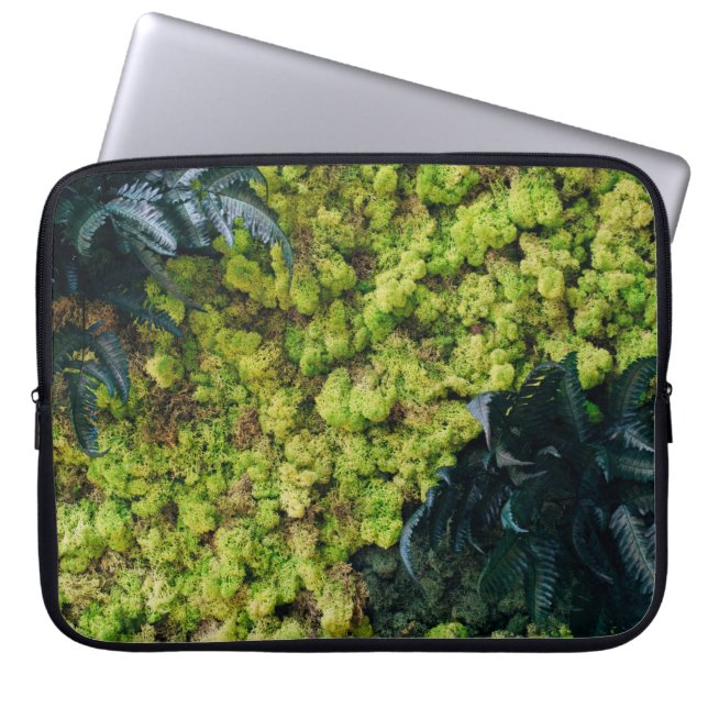 Capa Para Notebook Plantas de folhas verdes (Frente)
