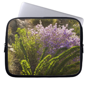 Capa Para Notebook plantas do deserto de Chihuahuan em flor