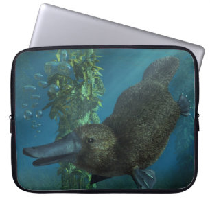 Capa Para Notebook Platypus