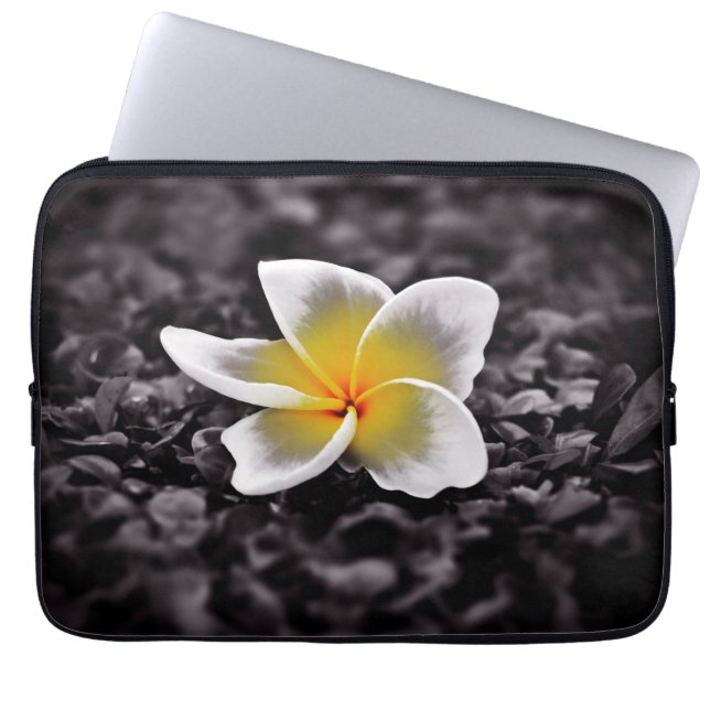 Capa Para Notebook Plumeria Frangipani Hawaii Flower (Frente)
