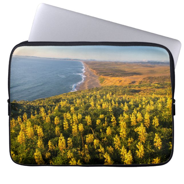 Capa Para Notebook Point Reyes National Seashore California (Frente)