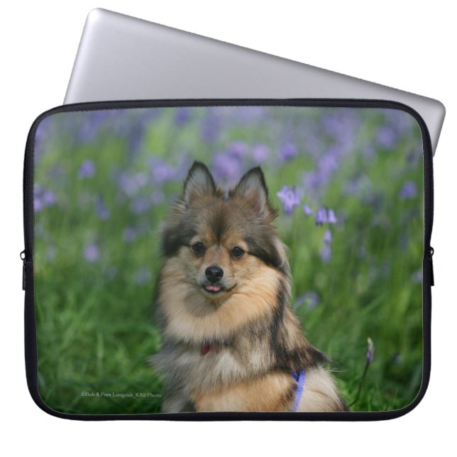 Capa Para Notebook Pomeranian na grama (Frente)