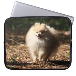 Capa Para Notebook Pomeranian que trota nas folhas caídas