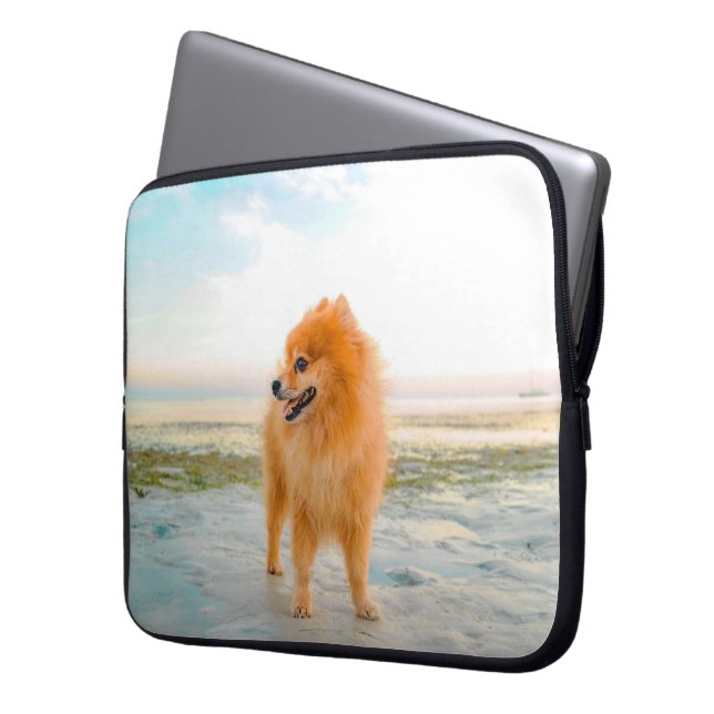 Capa Para Notebook Pomeraniano Laranja-Cute na Praia (Frente Esquerda)