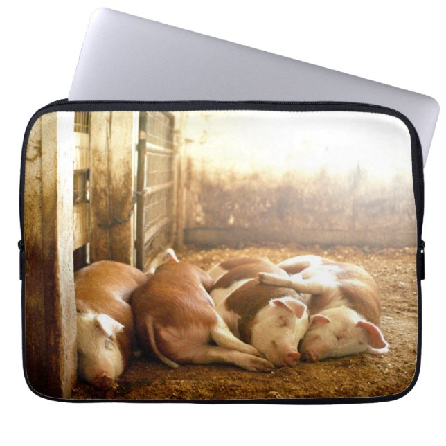 Capa Para Notebook Porcos Snuggling das imagens | de Getty (Frente)