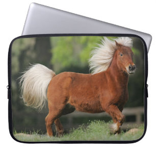 Capa Para Notebook Posição diminuta do cavalo