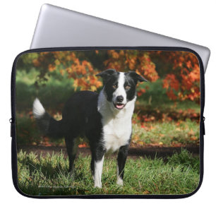Capa Para Notebook Posição do outono de border collie