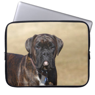 Capa Para Notebook Posição rajado do cão do pugilista