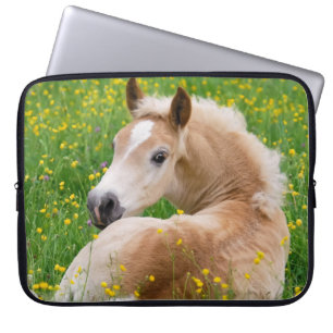 Capa Para Notebook Potro bonito do cavalo do pônei de Haflinger na