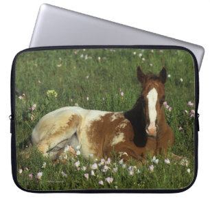 Capa Para Notebook Potro do Appaloosa que estabelece nas flores