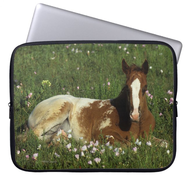 Capa Para Notebook Potro do Appaloosa que estabelece nas flores (Frente)