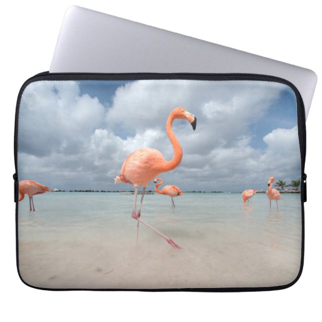 Capa Para Notebook Praias Tropicais | Flamingos Beach, Aruba (Frente)