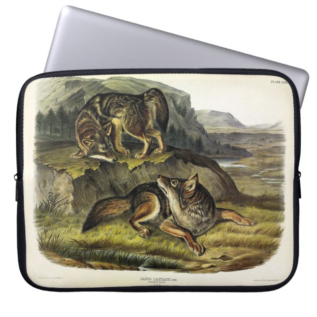 Capa Para Notebook Prairie Wolf (Coyote) dos Quadrupeds de Audubon (Frente)
