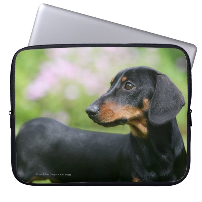 Capa Para Notebook Preto e Dachshund 2 de Tan Miniture (Frente)