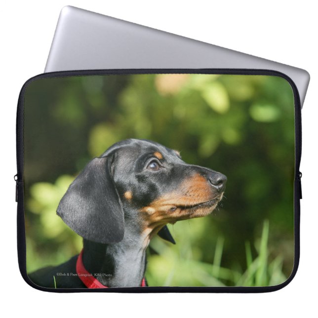 Capa Para Notebook Preto e Dachshund 3 de Tan Miniture (Frente)