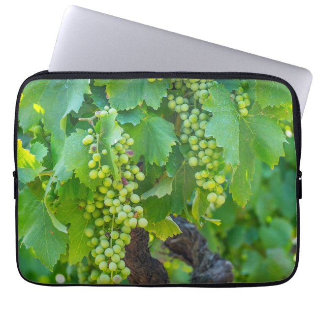 Capa Para Notebook Primeiro Plano de Uvas Maduras (Frente)
