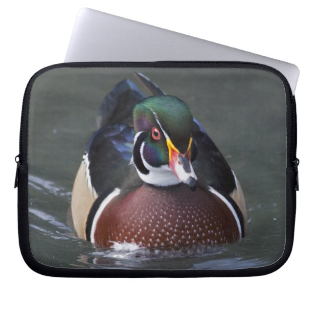 Capa Para Notebook Protetor de Laptop Pato-de-madeira Americano (Frente)