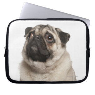 Capa Para Notebook Pug (13 meses) olhando para cima