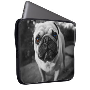 Capa Para Notebook Pug considerável