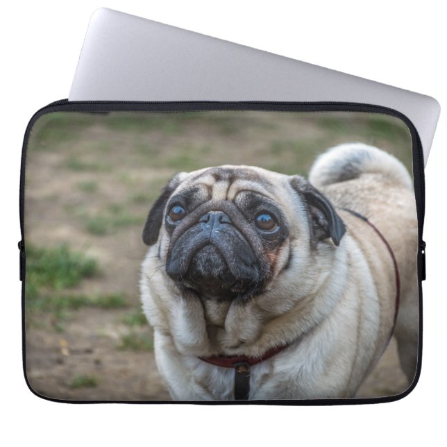 Capa Para Notebook Pug dog bolsa de laptop (Frente)