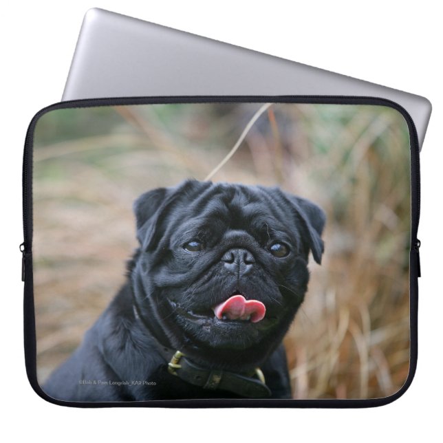 Capa Para Notebook Pug preto que arfa ao olhar a câmera (Frente)