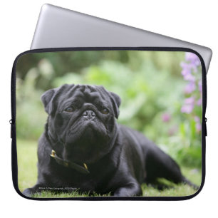 Capa Para Notebook Pug preto que estabelece