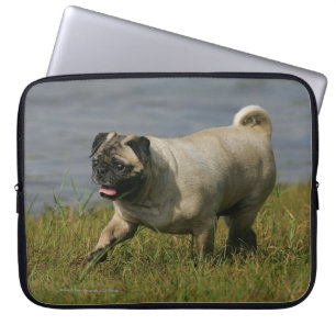 Capa Para Notebook Pug que joga perto da água