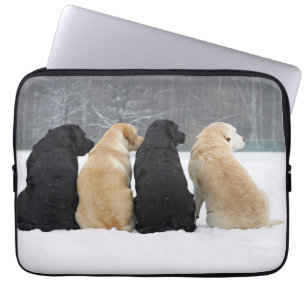 Capa Para Notebook Quatro Cães Labradores Na Neve