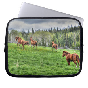 Capa Para Notebook Quatro Cavalos em Grama Fresca numa Paddock
