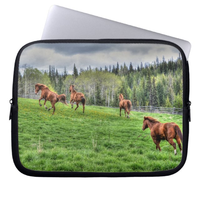 Capa Para Notebook Quatro Cavalos em Grama Fresca numa Paddock (Frente)