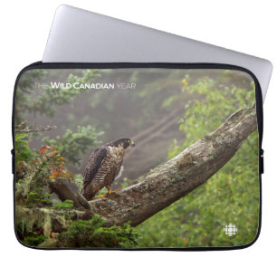 Capa Para Notebook Queda - Falcão Peregrino