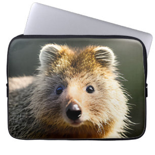 Capa Para Notebook Quintin The Ginger Quokka, Bolsa de laptop