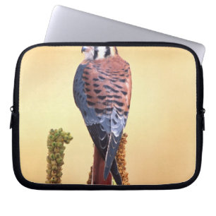 Capa Para Notebook Quiriquiri, Falco sparverius, Nativo dos EUA & Can