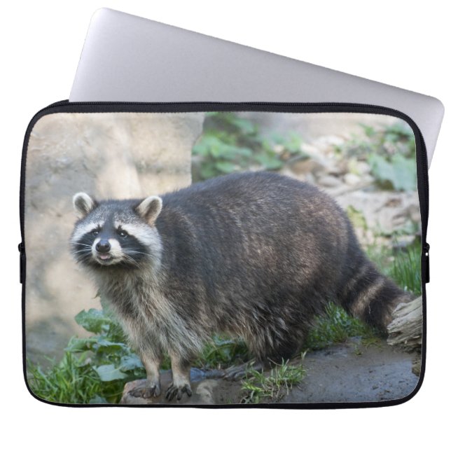 Capa Para Notebook Raccoon (Frente)