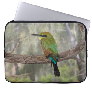 Capa Para Notebook Rainbow bee-eater bird, Austrália