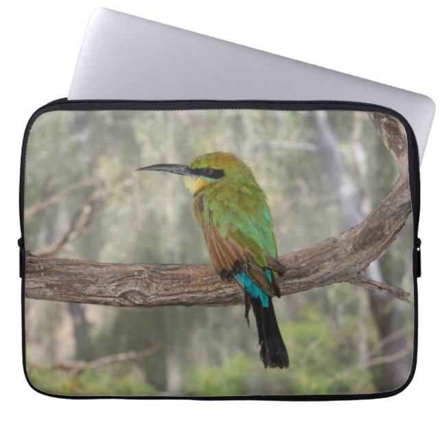 Capa Para Notebook Rainbow bee eater bird, Austrália (Frente)