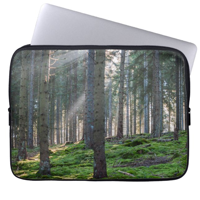 Capa Para Notebook Raios de sol na Floresta Negra (Frente)